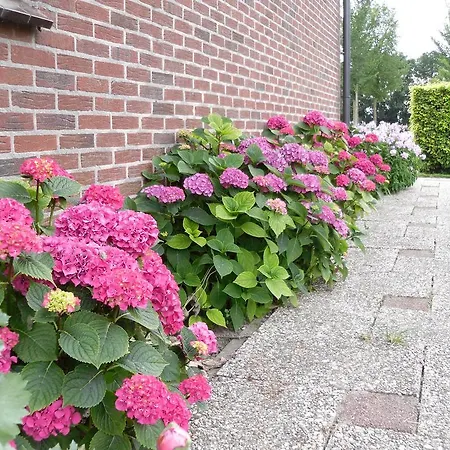 Bed & Breakfast Nicolaashoeve Beemster *